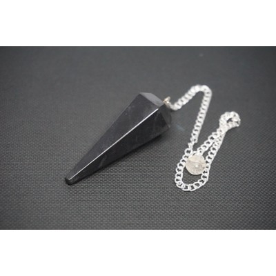 Pendule Facette shungite