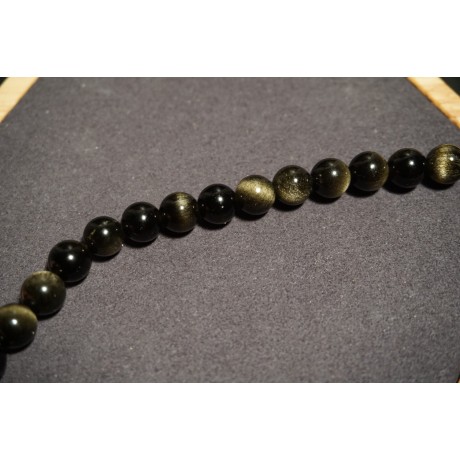 Fils d'Obsidienne Dorée