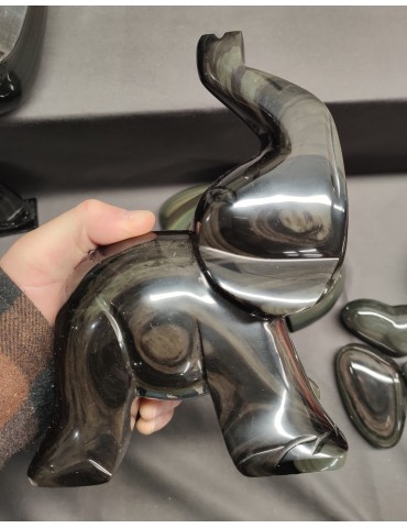 copy of Tortue obsidienne...