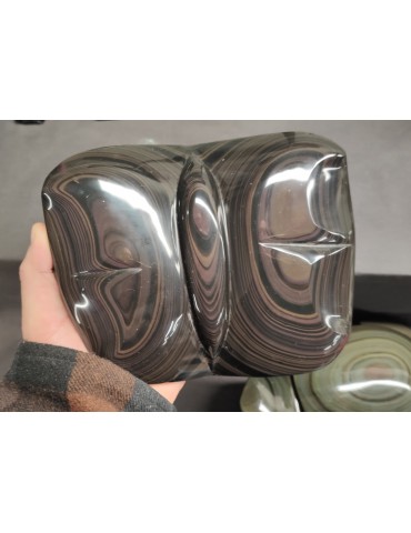 copy of Tortue obsidienne...