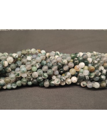 Fils d'Agate d'arbre